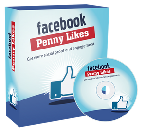 Facebook Page Likes Video Course - ProsperityWorld.store 