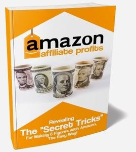 Amazon Affiliate Profits - ProsperityWorld.store 